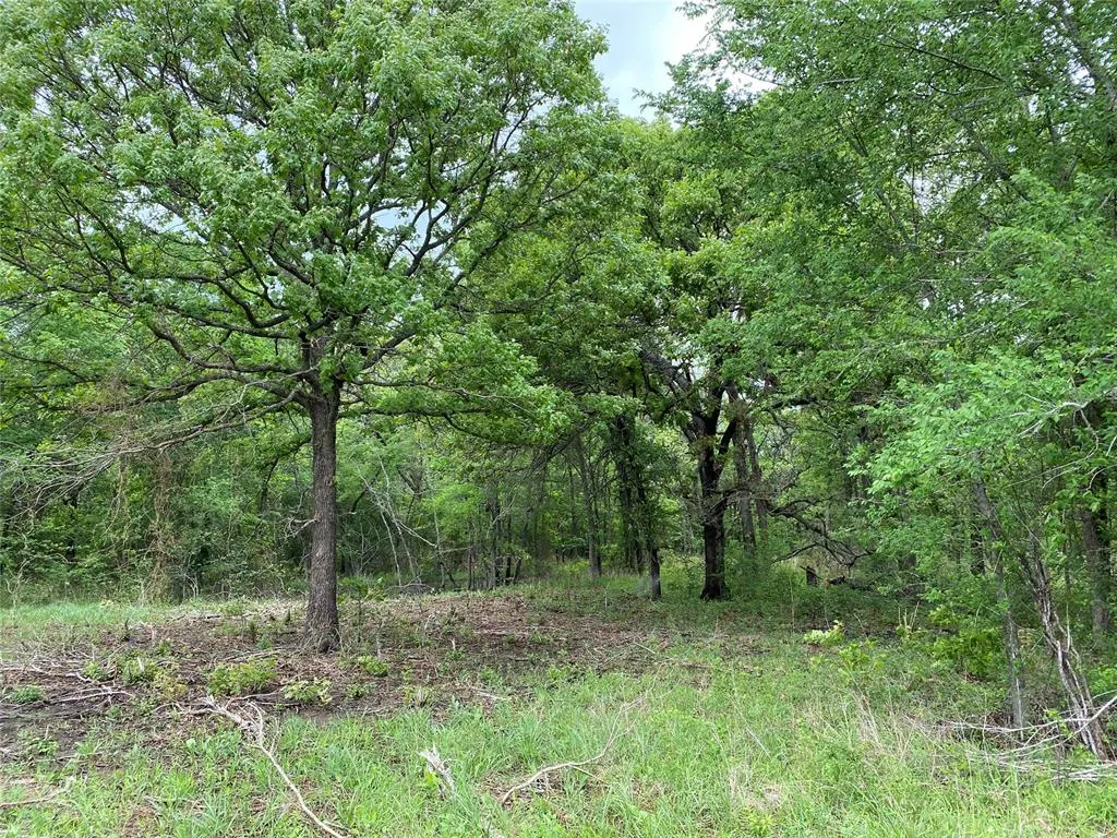 Photo 37 — D390 Road, Dustin, OK 74839