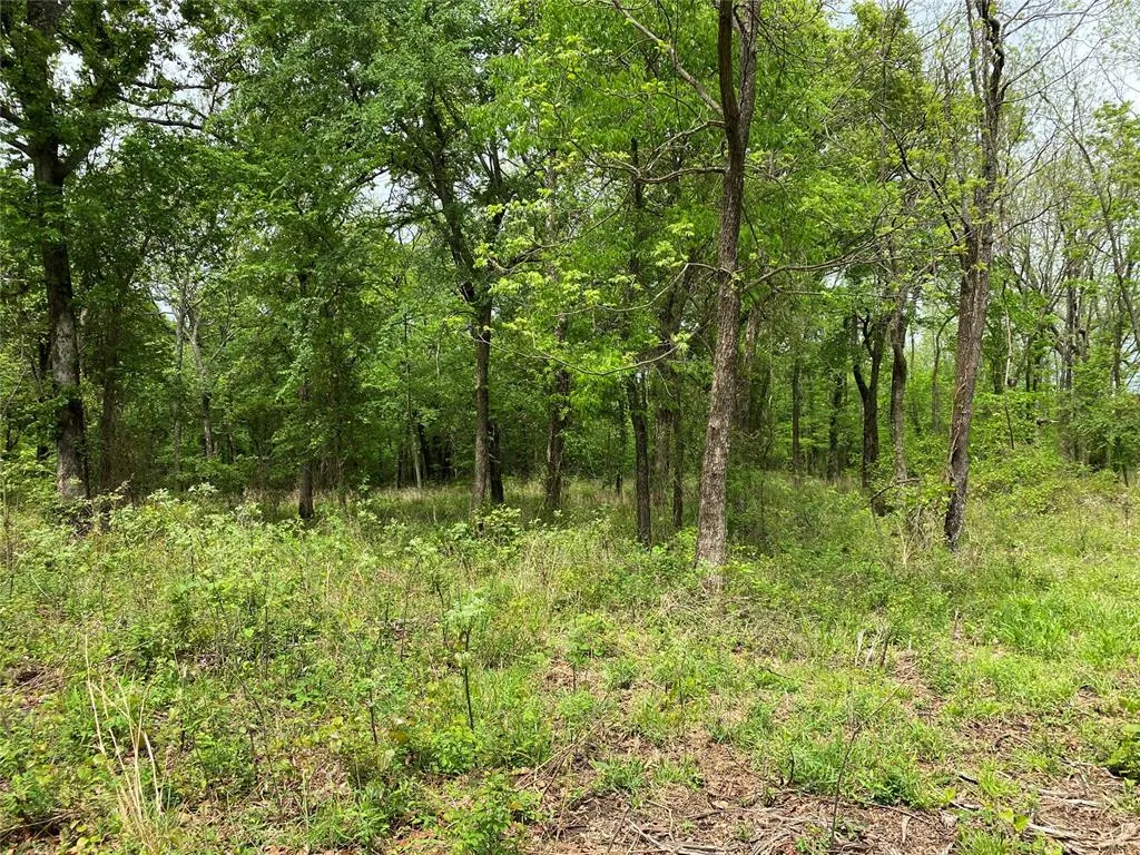 Photo 38 — D390 Road, Dustin, OK 74839