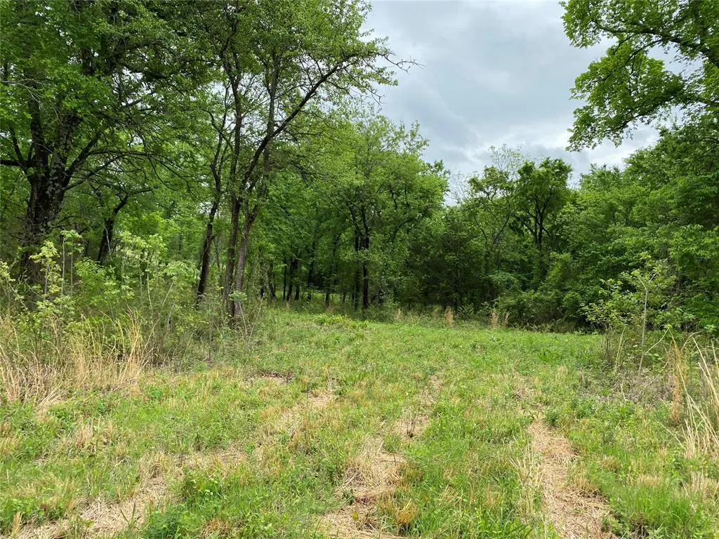 Photo 39 — D390 Road, Dustin, OK 74839