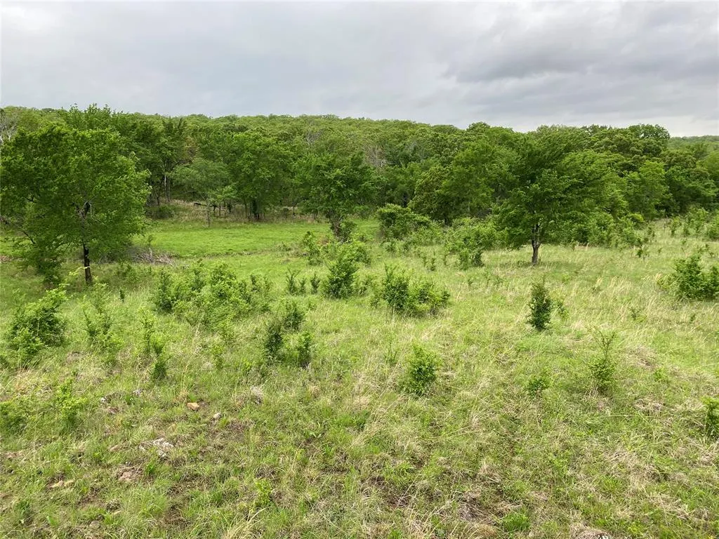 Photo 43 — D390 Road, Dustin, OK 74839