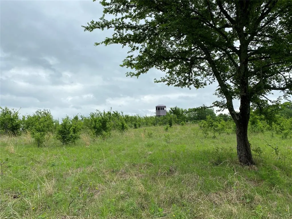 Photo 44 — D390 Road, Dustin, OK 74839