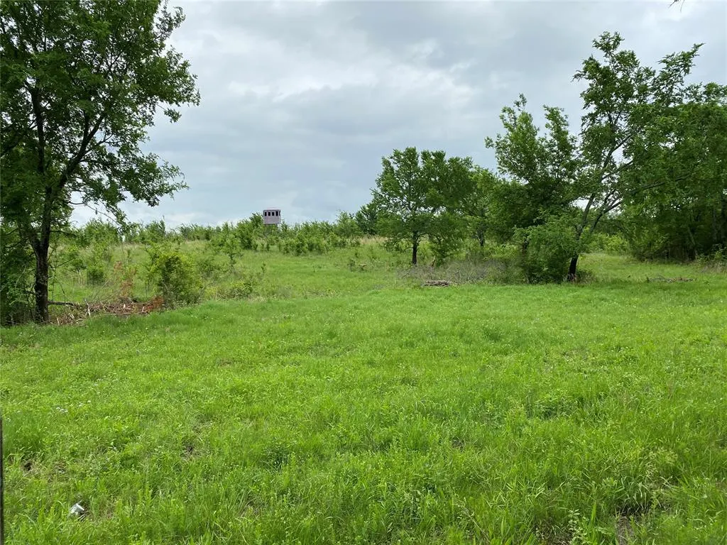 Photo 45 — D390 Road, Dustin, OK 74839