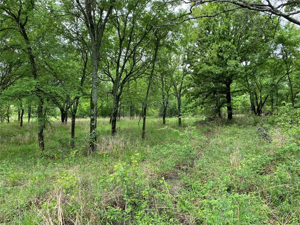 Photo 46 — D390 Road, Dustin, OK 74839
