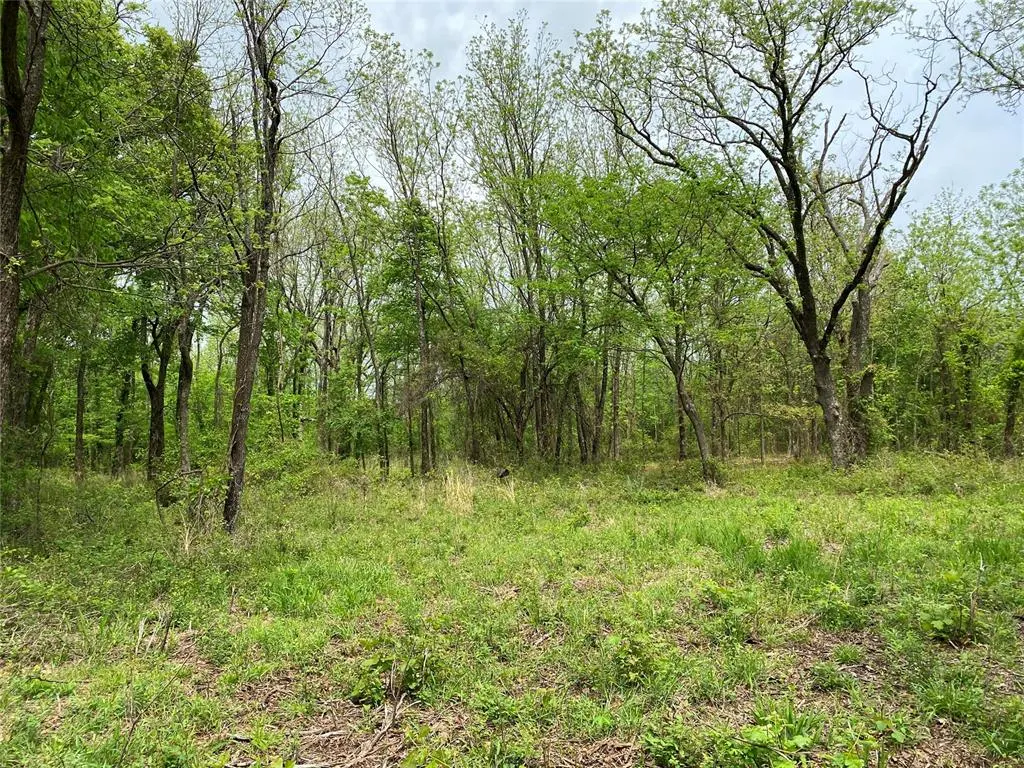 Photo 47 — D390 Road, Dustin, OK 74839