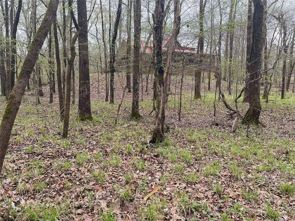 Photo 3 — 177 Albacore Road Road, Hochatown, OK 74728