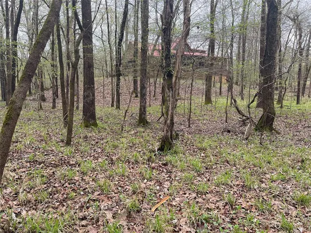Photo 3 — 177 Albacore Road Road, Hochatown, OK 74728