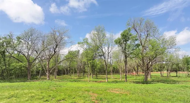 Photo 4 — 2 Wild Horse Creek, Luther, OK 73054