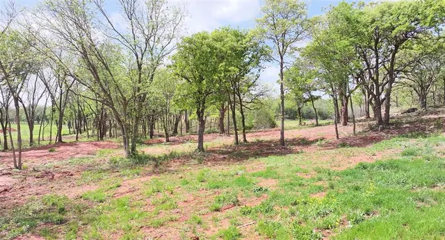 Photo 6 — 4 Wild Horse Creek, Luther, OK 73054