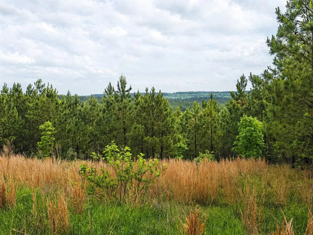 Photo 4 — 158 Legacy Ridge Trail, Broken Bow, OK 74728
