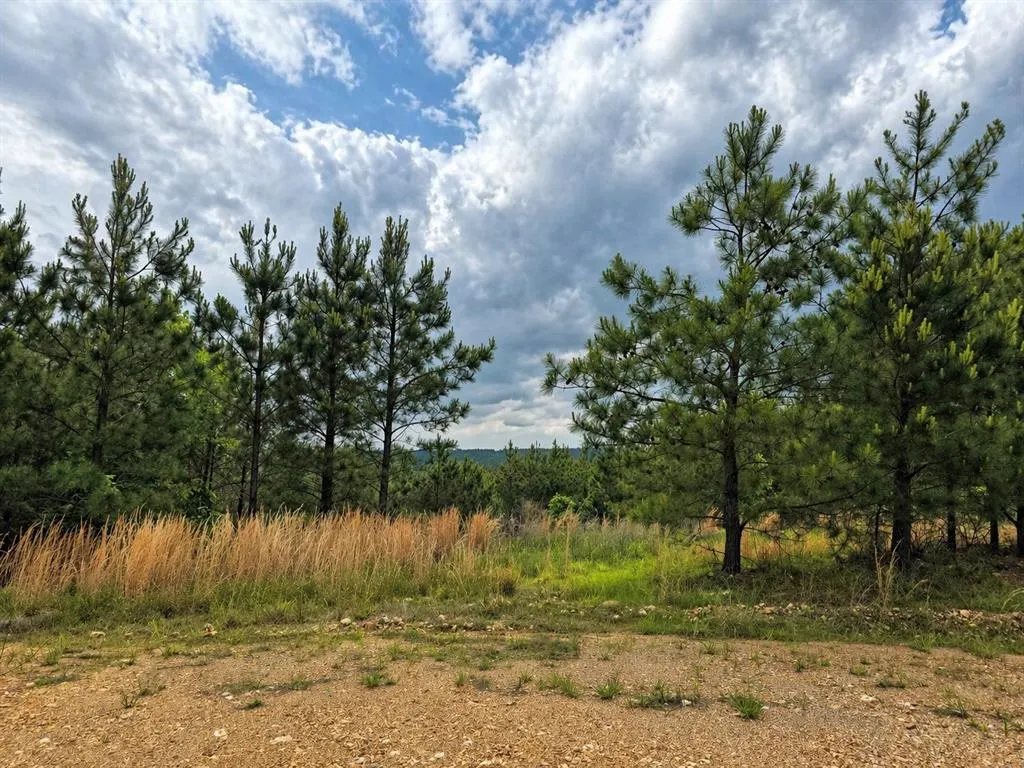 Photo 10 — 158 Legacy Ridge Trail, Broken Bow, OK 74728