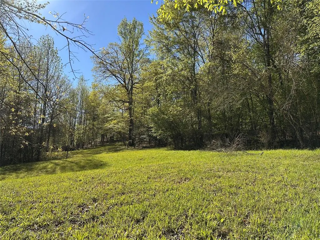 Photo 3 — TBD Riverside Lane, Smithville, OK 74957