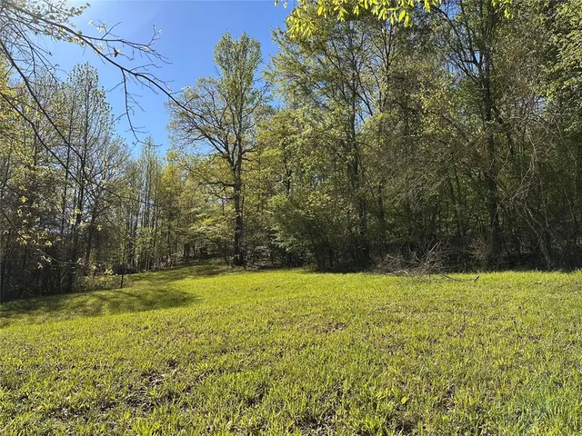 Photo 3 — TBD Riverside Lane, Smithville, OK 74957