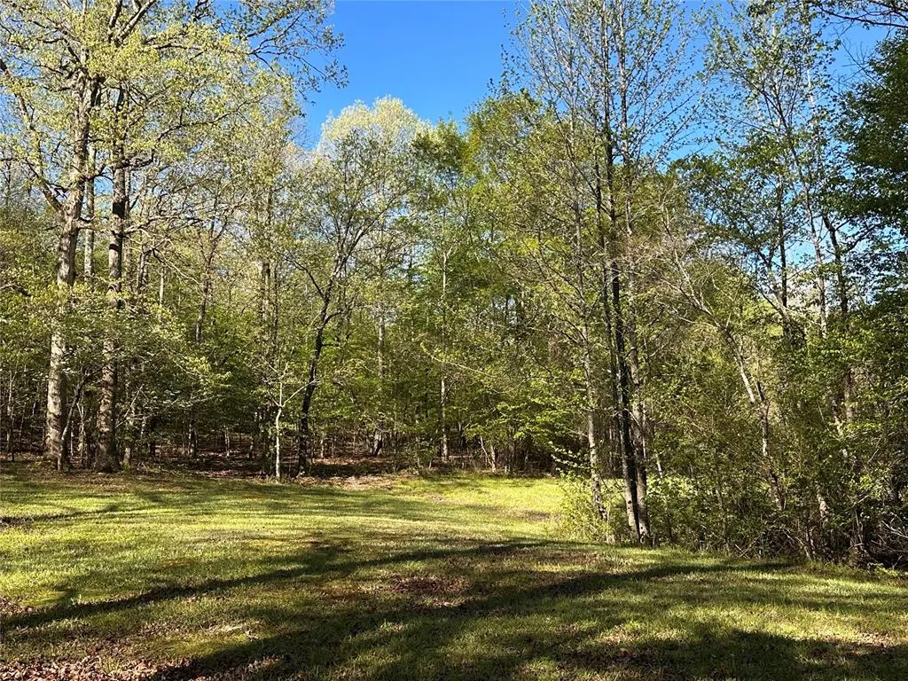 Photo 6 — TBD Riverside Lane, Smithville, OK 74957