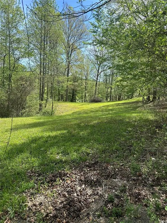 Photo 7 — TBD Riverside Lane, Smithville, OK 74957
