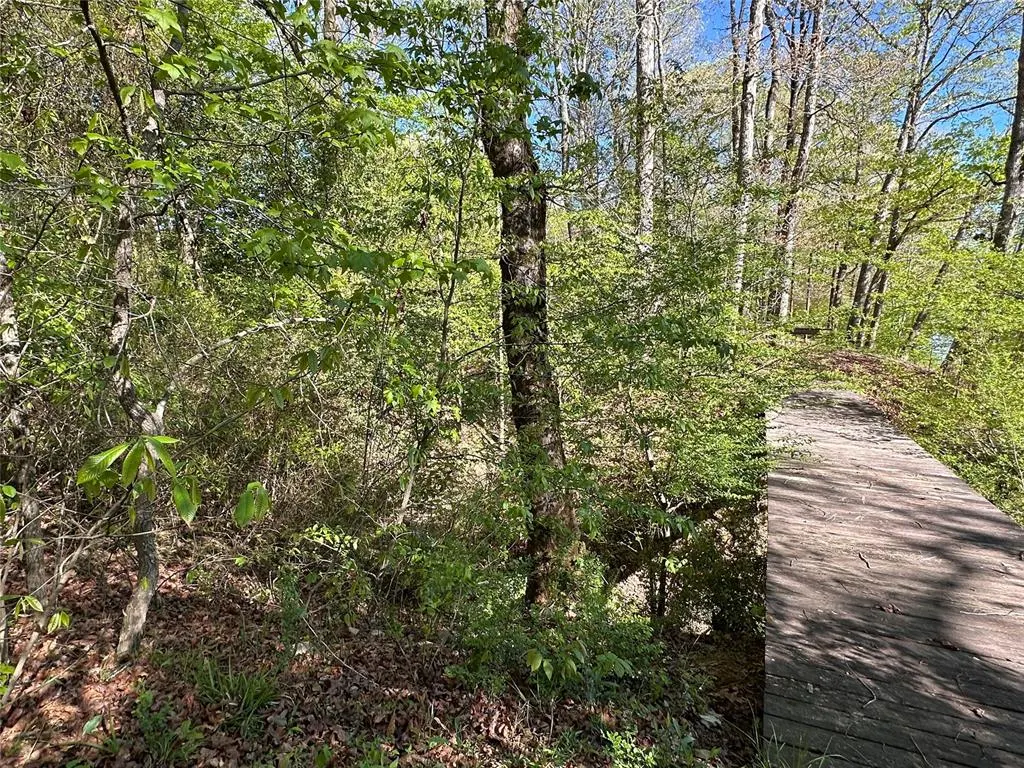 Photo 12 — TBD Riverside Lane, Smithville, OK 74957