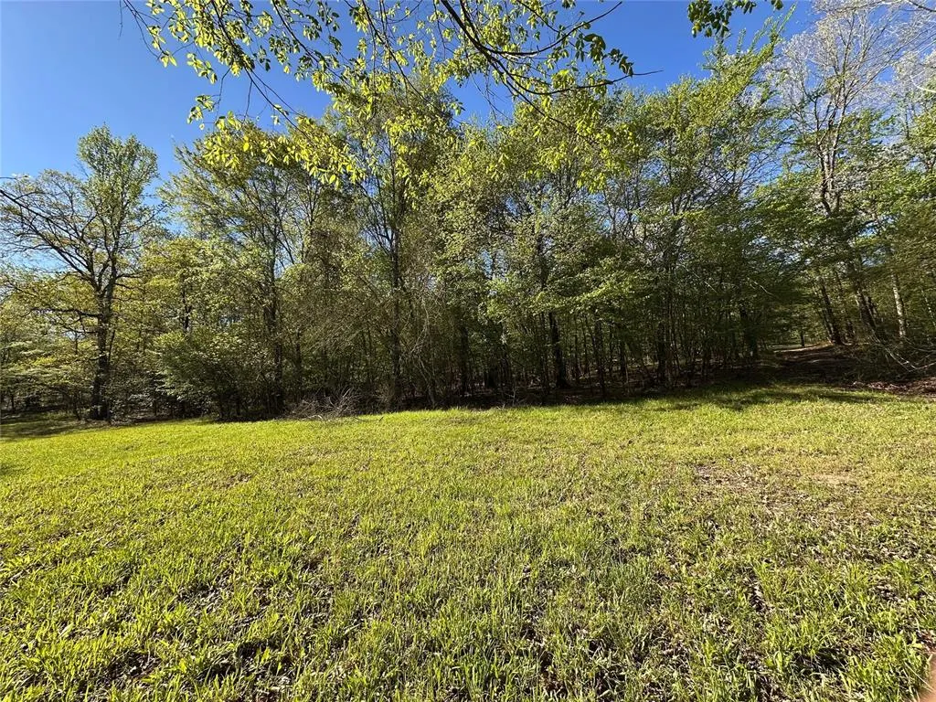 Photo 14 — TBD Riverside Lane, Smithville, OK 74957