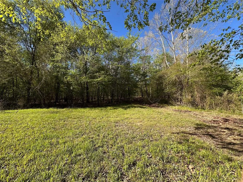 Photo 15 — TBD Riverside Lane, Smithville, OK 74957