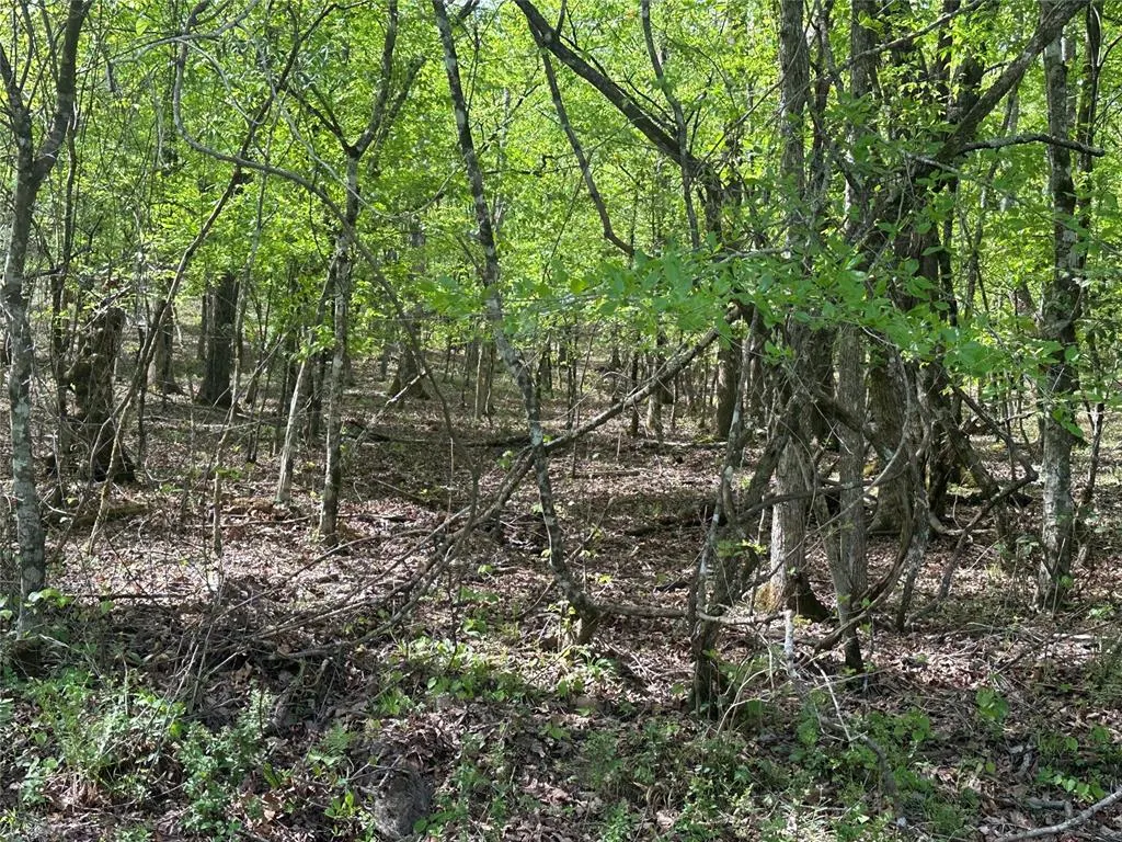 Photo 16 — TBD Riverside Lane, Smithville, OK 74957