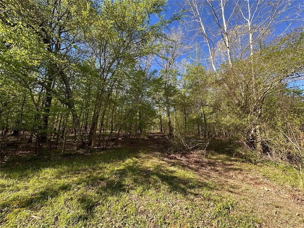 Photo 17 — TBD Riverside Lane, Smithville, OK 74957