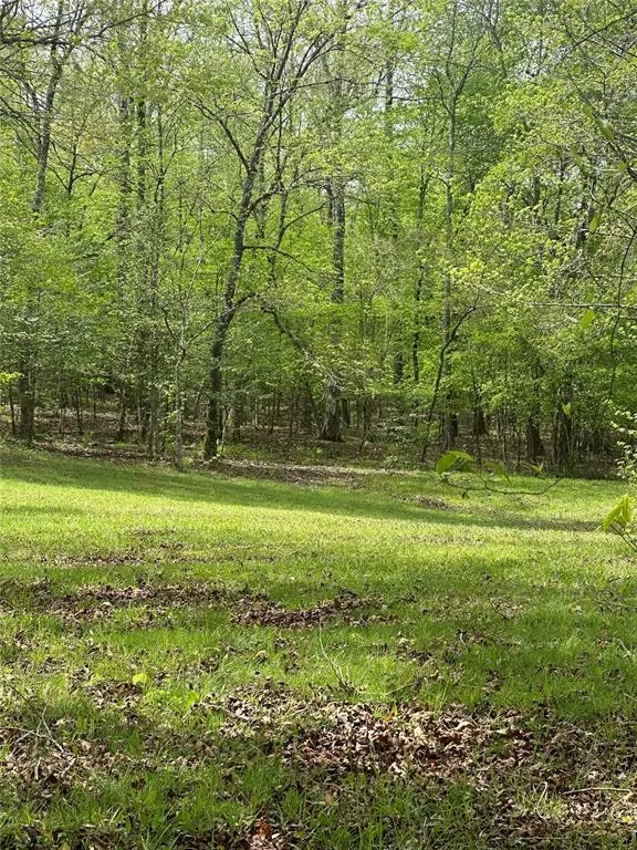 Photo 18 — TBD Riverside Lane, Smithville, OK 74957