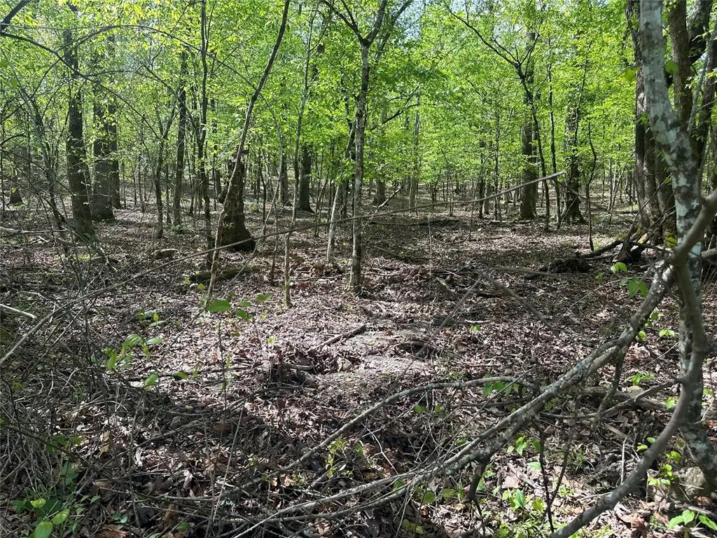 Photo 19 — TBD Riverside Lane, Smithville, OK 74957