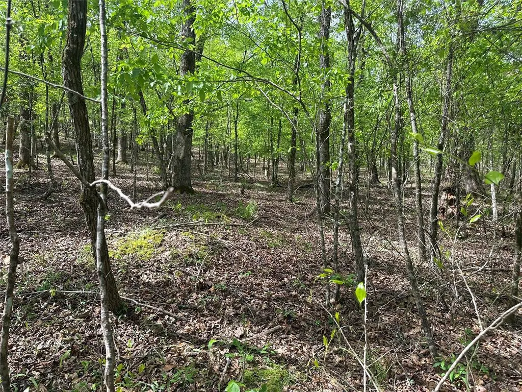 Photo 20 — TBD Riverside Lane, Smithville, OK 74957