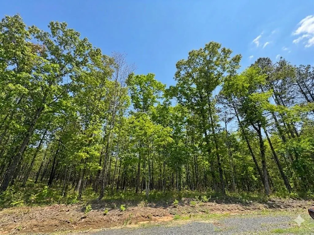Photo 5 — 2 Hillside Way, Watson, OK 74957