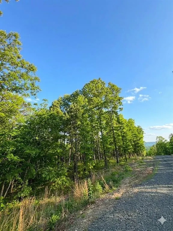 Photo 5 — 3 Vista Ridge Trail, Watson, OK 74957