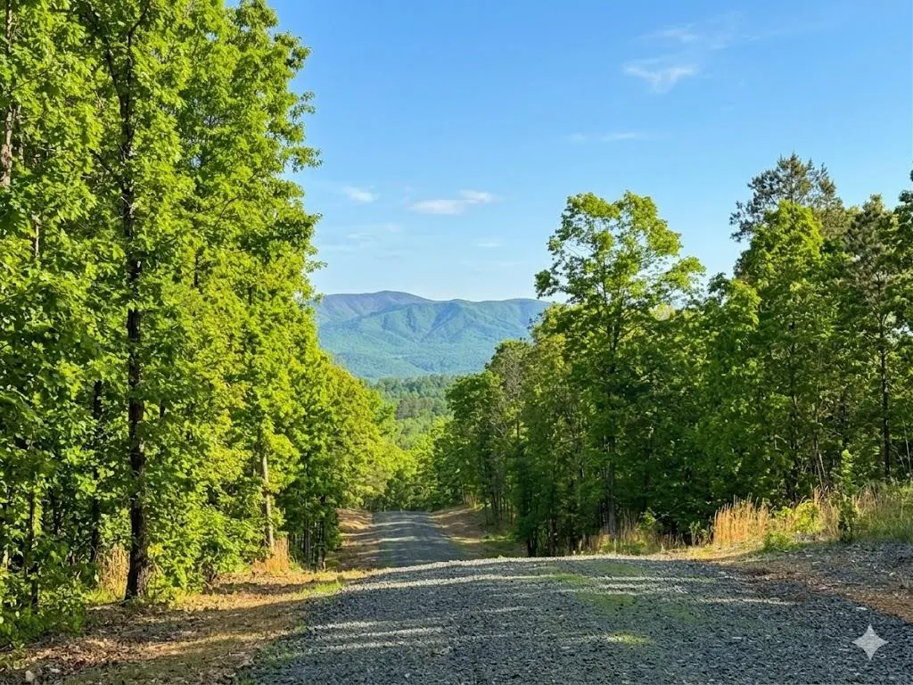 Photo 5 — 4 Vista Ridge Trail, Watson, OK 74957