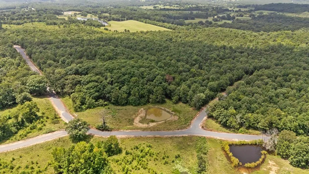 Photo 10 — 8 Vista Ridge Trail, Watson, OK 74957