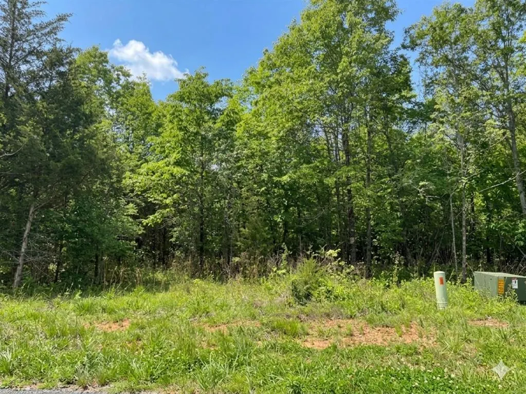 Photo 6 — 10 Vista Ridge Trail, Watson, OK 74957