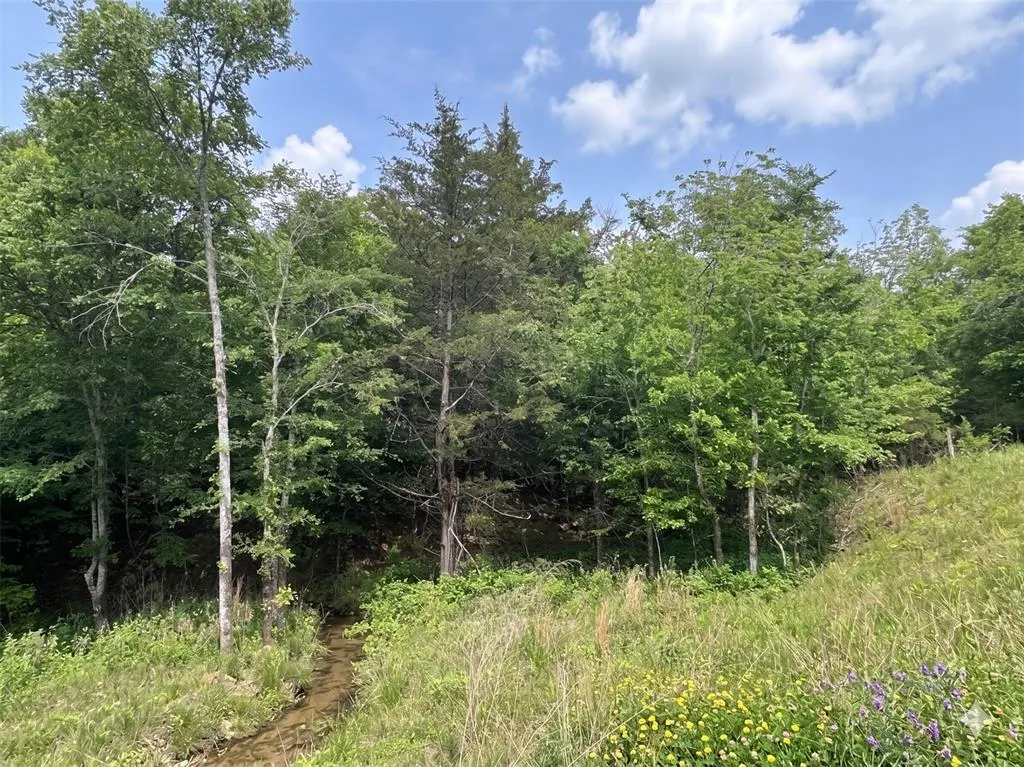 Photo 6 — 13 Vista Ridge Trail, Watson, OK 74957