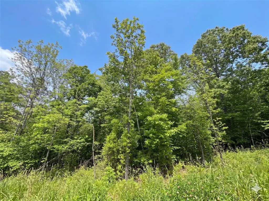 Photo 5 — 15 Vista Ridge Trail, Watson, OK 74957