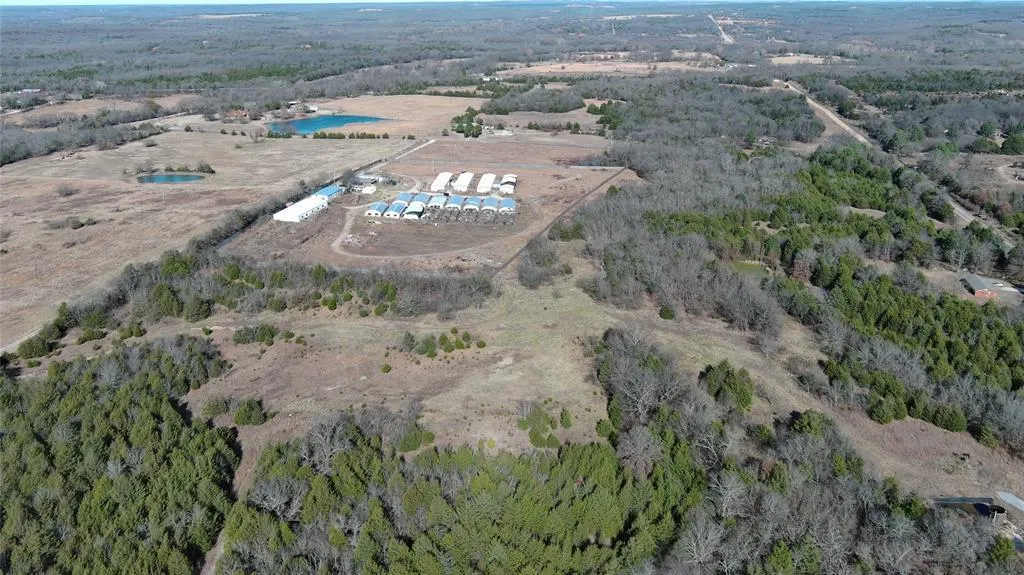 Photo 13 — 36476 EW 1425 Road, Sasakwa, OK 74868