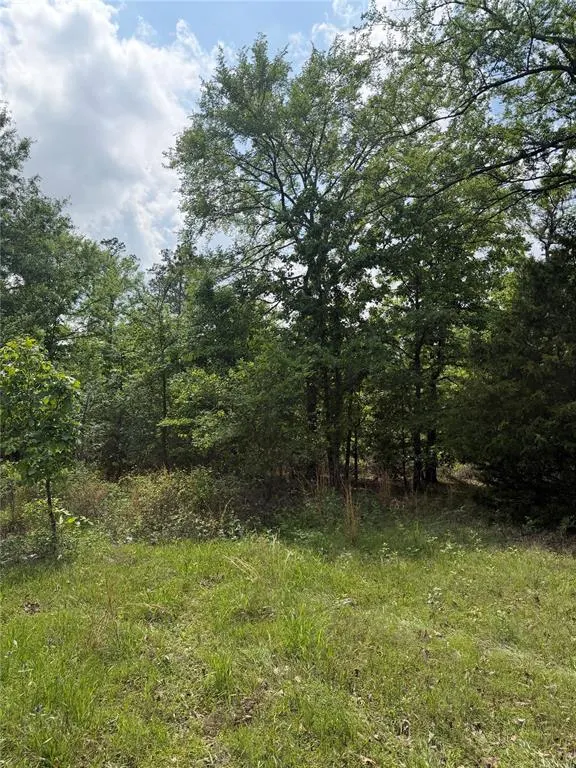 Photo 2 — Bullard Lane, Wright City, OK 74766