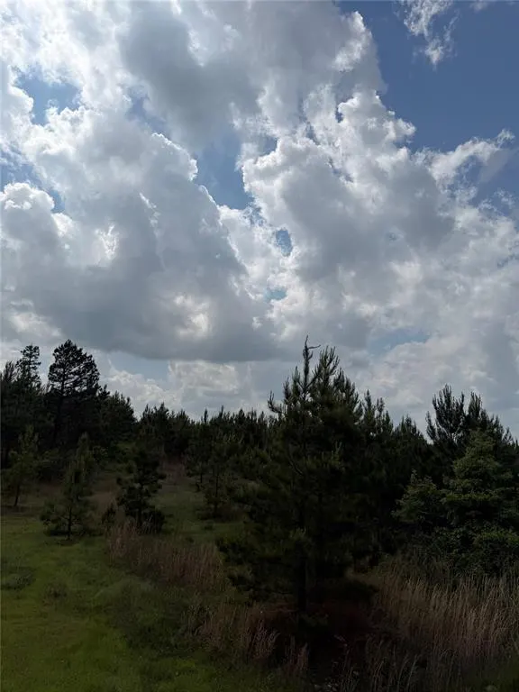 Photo 3 — Bullard Lane, Wright City, OK 74766