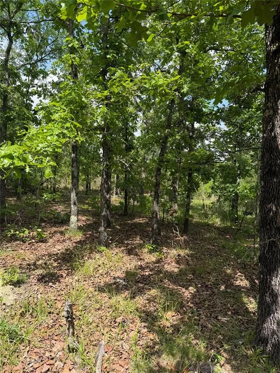 Photo 5 — Bullard Lane, Wright City, OK 74766