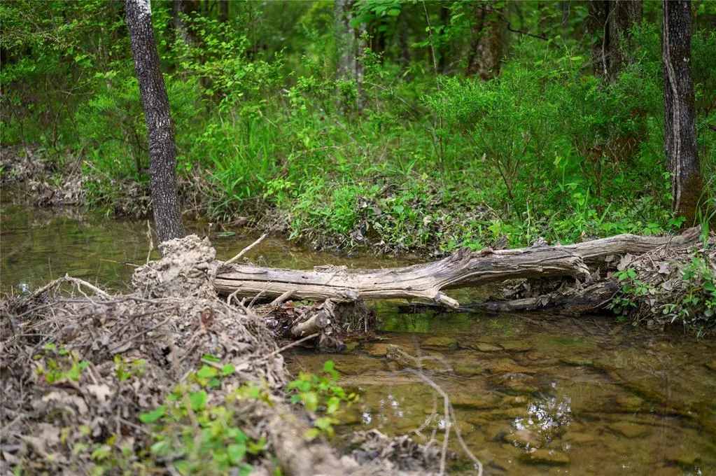 Photo 41 — 221 Red Holly Trail, Broken Bow, OK 74728