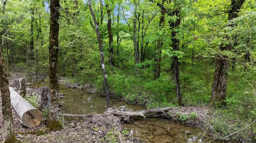 Photo 42 — 221 Red Holly Trail, Broken Bow, OK 74728