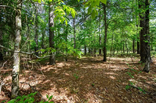 Photo 8 — 155 N Mossy Bottom Trail lot 26, Broken Bow, OK 74728