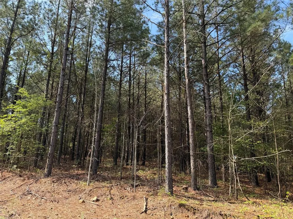 Photo 3 — 51 Aged Acacia Trail, Broken Bow, OK 74728
