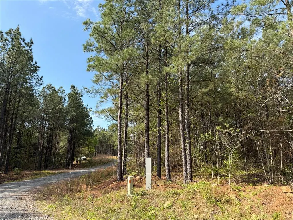 Photo 4 — 51 Aged Acacia Trail, Broken Bow, OK 74728