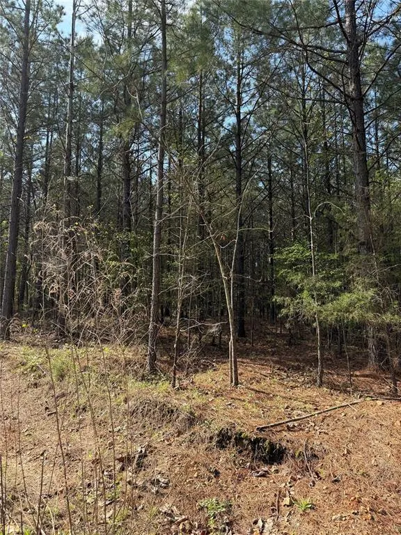 Photo 5 — 51 Aged Acacia Trail, Broken Bow, OK 74728