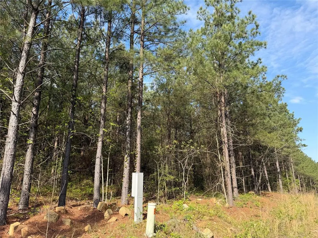 Photo 6 — 51 Aged Acacia Trail, Broken Bow, OK 74728