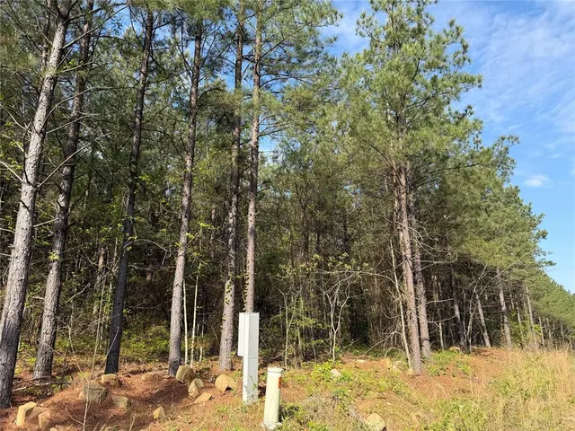 Photo 6 — 51 Aged Acacia Trail, Broken Bow, OK 74728