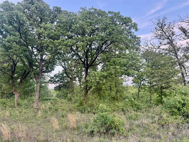 Photo 5 — 18621 Deercreek Road, Lexington, OK 73051