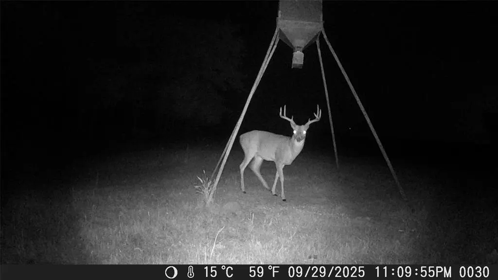 Photo 45 — 30588 Propane Road, Wanette, OK 74878