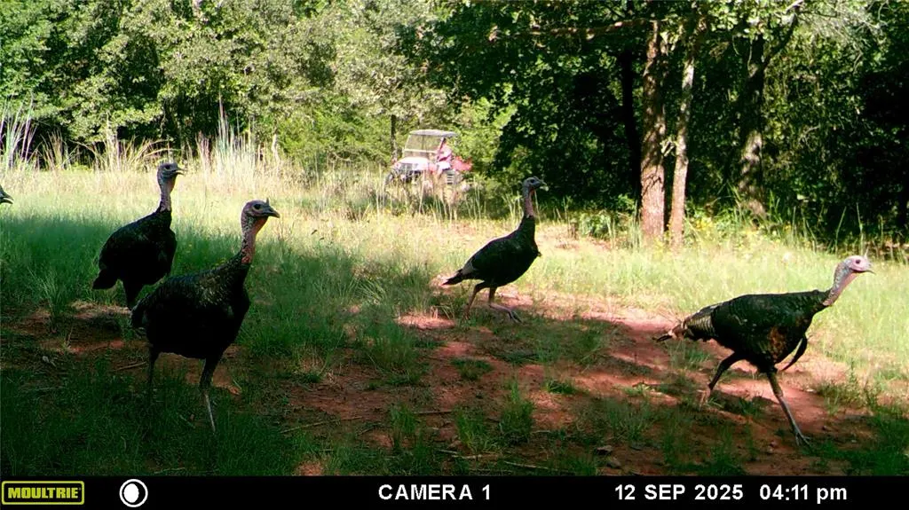 Photo 50 — 30588 Propane Road, Wanette, OK 74878