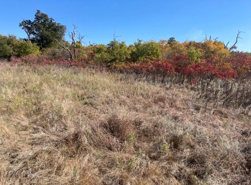 Photo 3 — NW Kiowa Drive, Lawton, OK 73507
