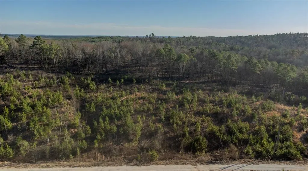 Photo 5 — 543 Woodland Ridge Trail, Broken Bow, OK 74728
